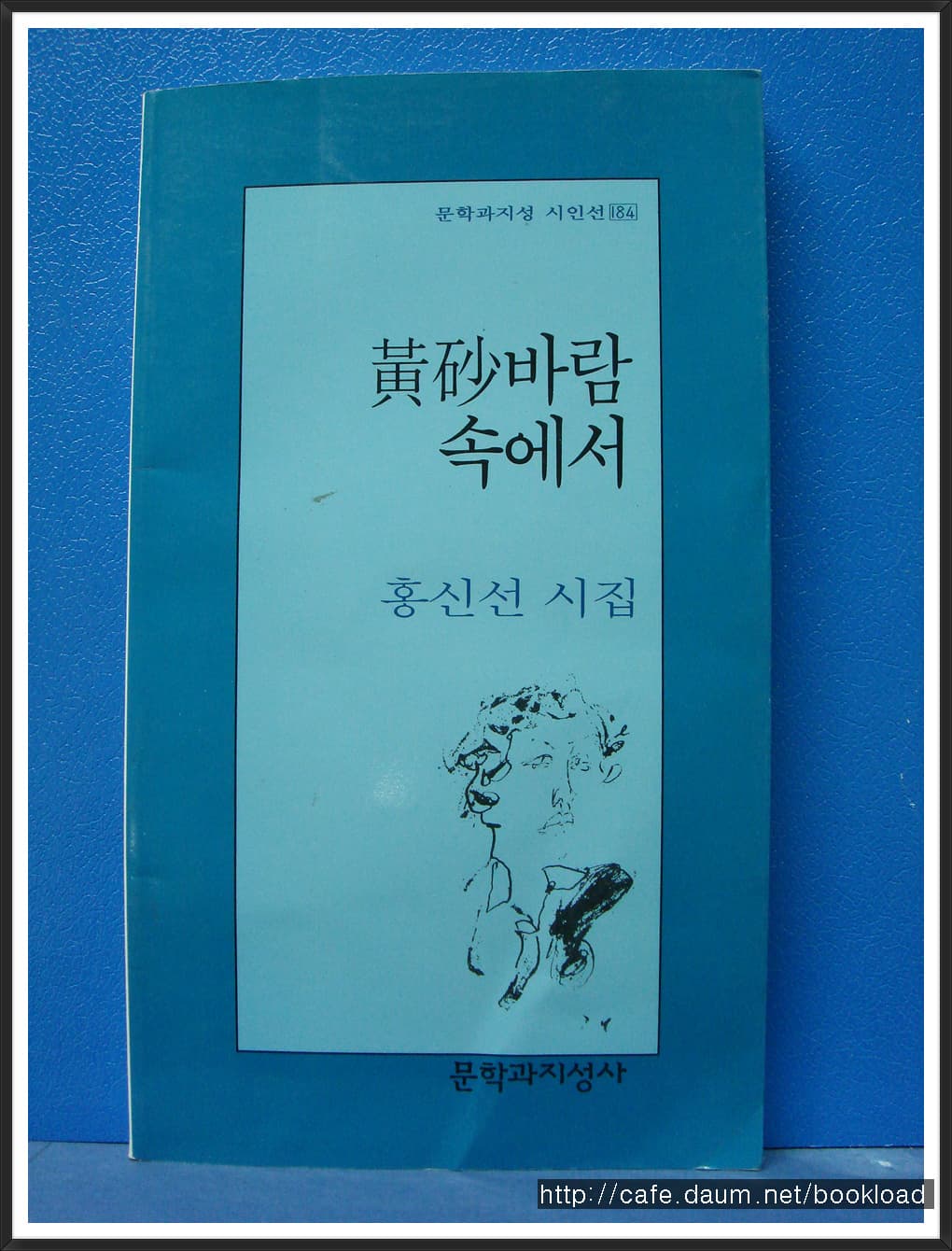 홍신선/황사바람 속에서 (제6시집) 사진 1