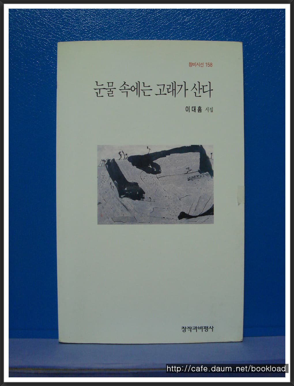 이대흠/눈물 속에는 고래가 산다(제1시집) 사진 1