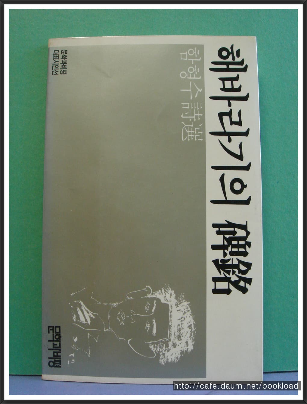 함형수/해바라기 비명 사진 1