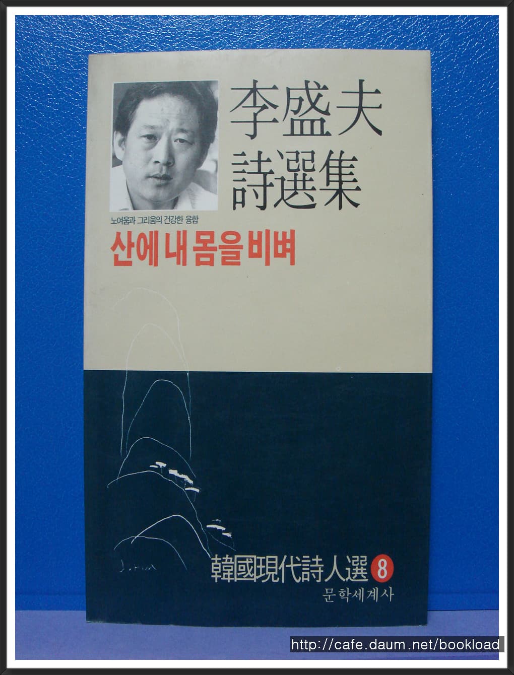 이성부/산에 내 몸을 비벼 사진 1