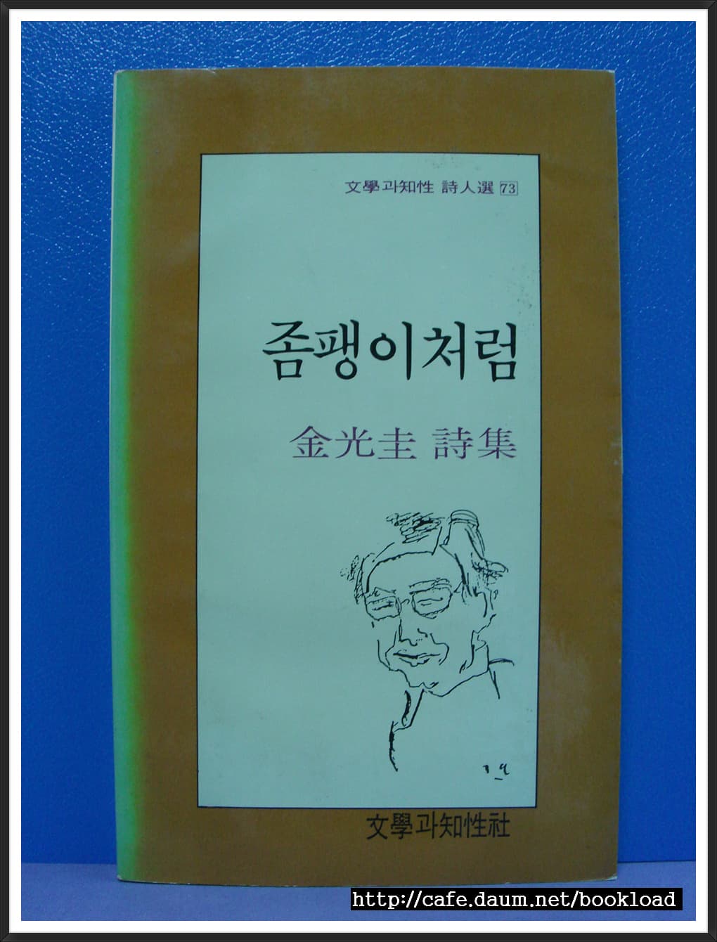 김광규/좀팽이처럼(제4시집) 사진 1