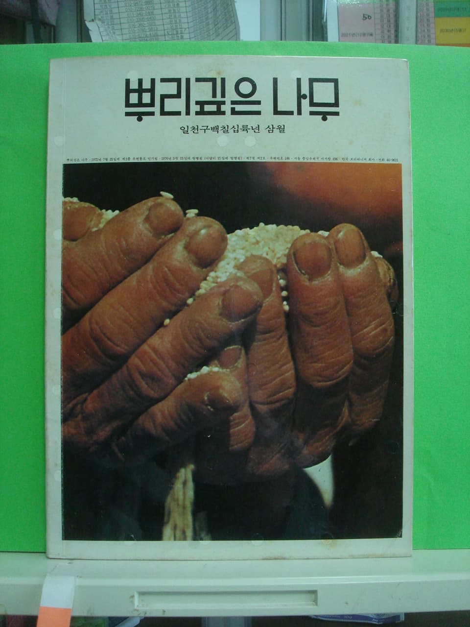 이창기/뿌리깊은 나무 사진 1