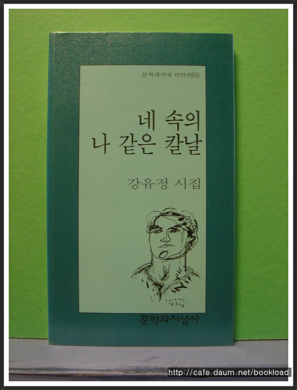 강유정/네 속의 나 같은 칼날(제2시집) 사진 1