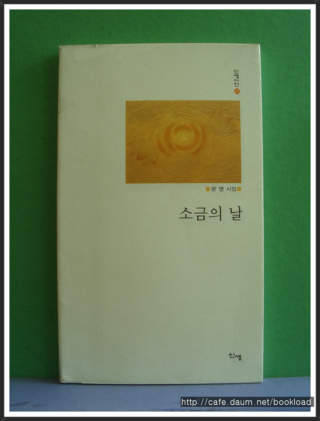 문영/소금의 날(저자 서명본) 사진 1