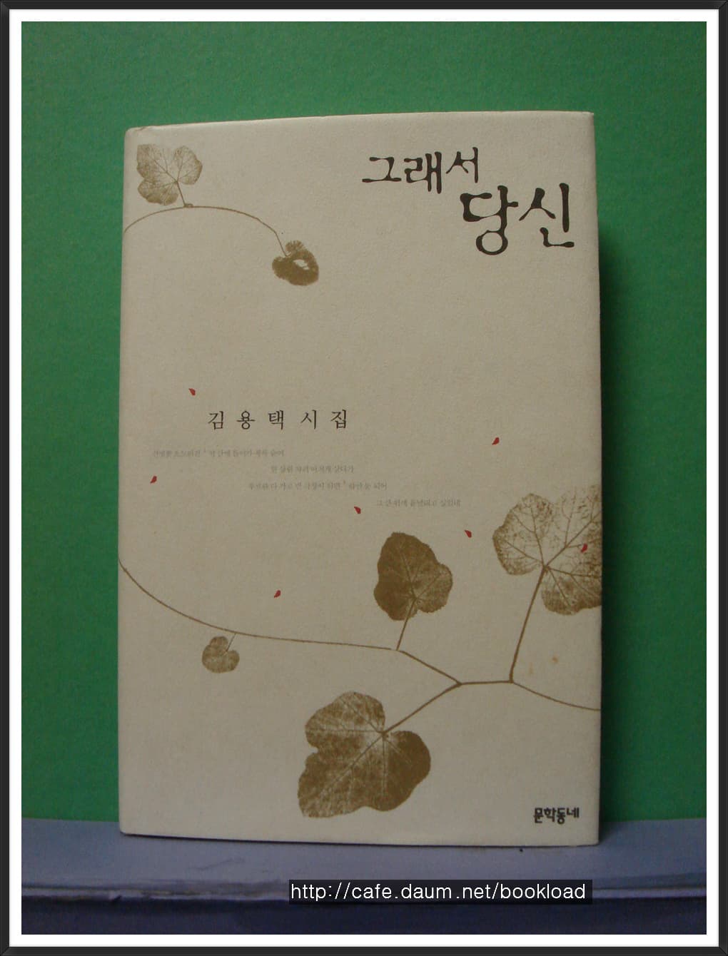김용택/그래서 당신(제7시집) 사진 1