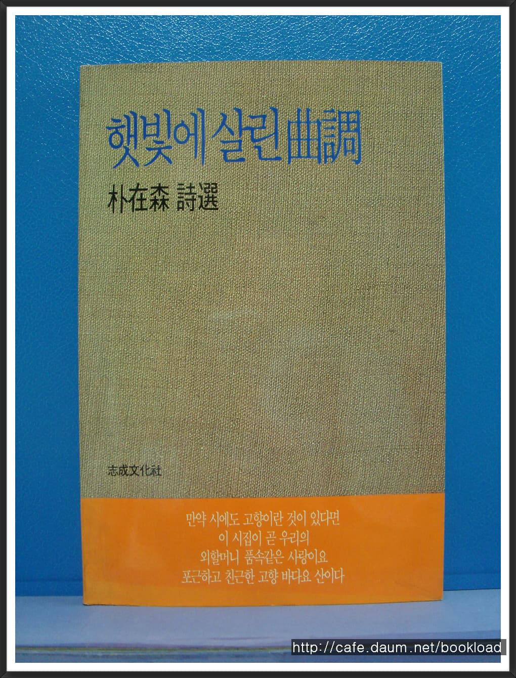 박재삼/햇빛에 살린 곡조 사진 1
